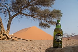 Beer oasis in the desert